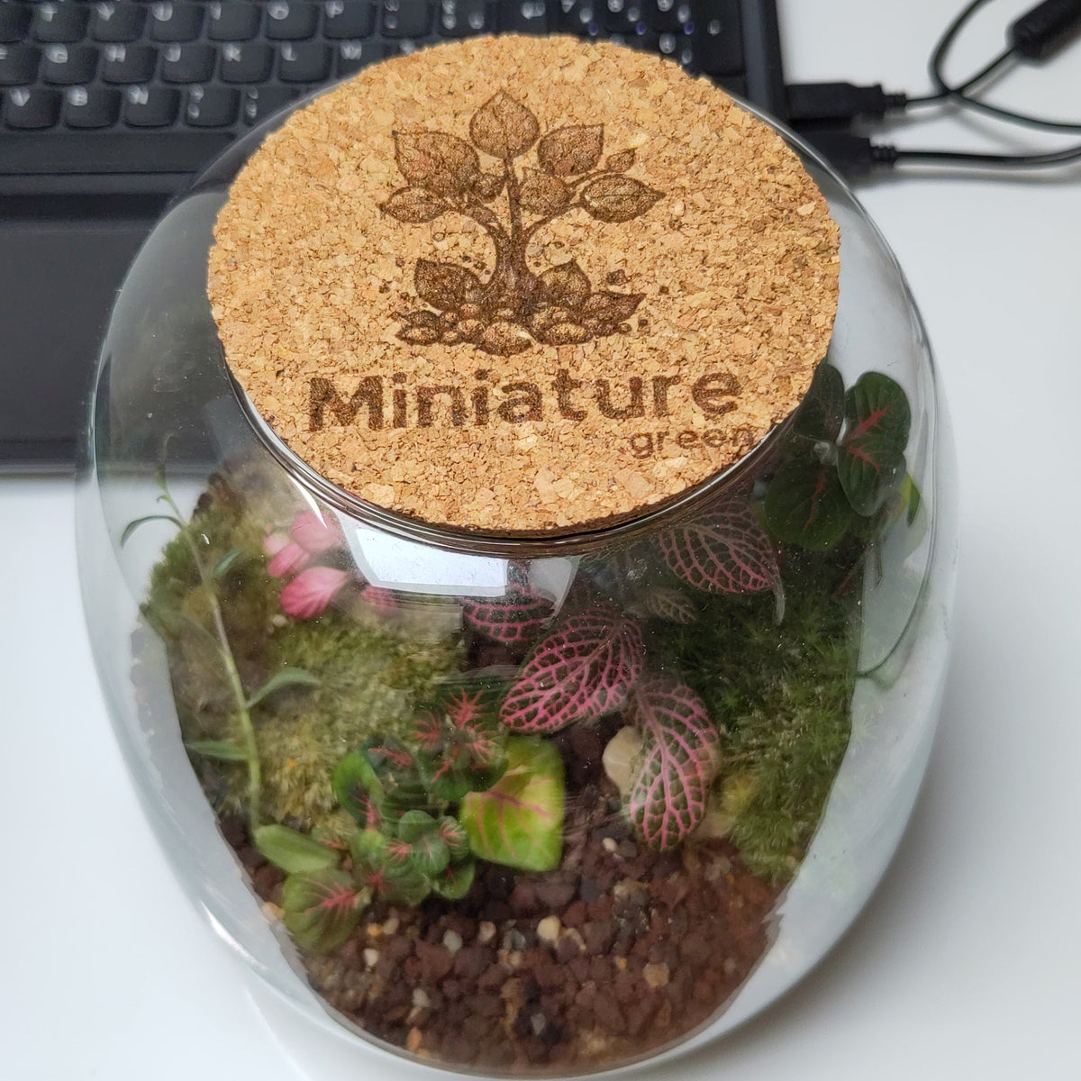 Couvercle de terrarium